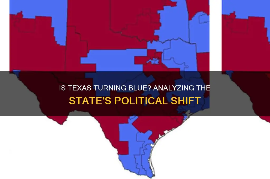 how politically blue is texas