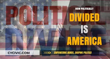 America's Deepening Political Divide: Causes, Consequences, and Paths Forward