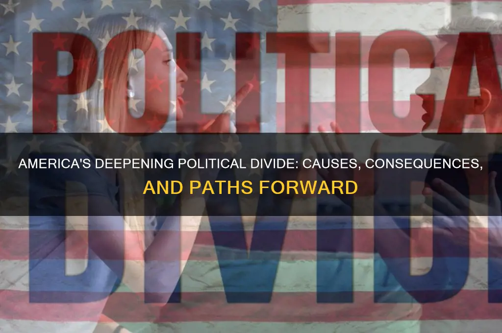 how politically divided is america
