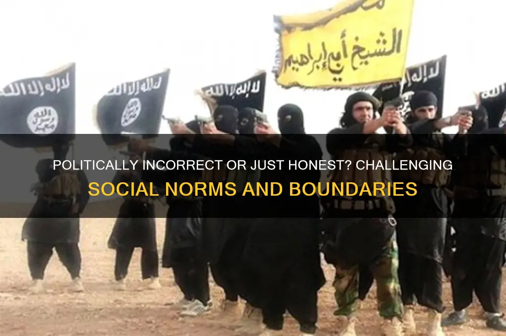 how politically incorrect are you