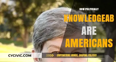 Are Americans Politically Savvy? Exploring Civic Knowledge in the U.S