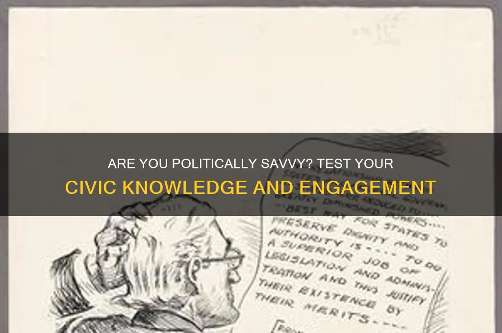 how politically literate are you