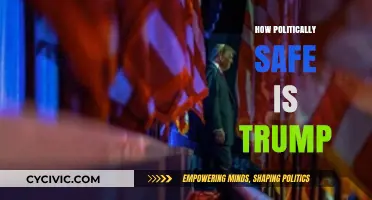 Trump's Political Safety: Navigating Legal Battles and Public Perception