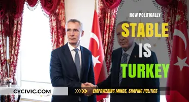Turkey's Political Stability: Challenges, Resilience, and Future Prospects