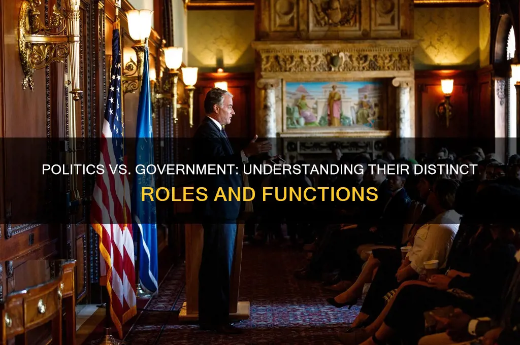 how politics and government differ