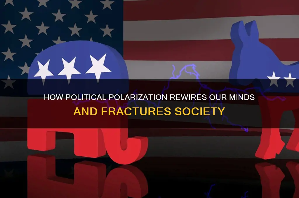 how politics breaks our brains