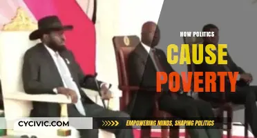 Political Failures: How Mismanagement and Corruption Fuel Widespread Poverty