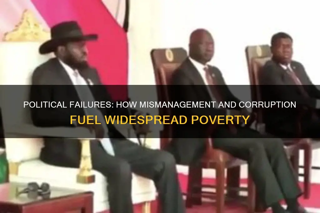 how politics cause poverty