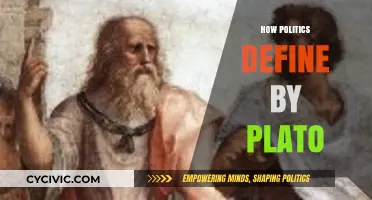 Plato's Vision: How Politics Shape Ideal Governance and Society