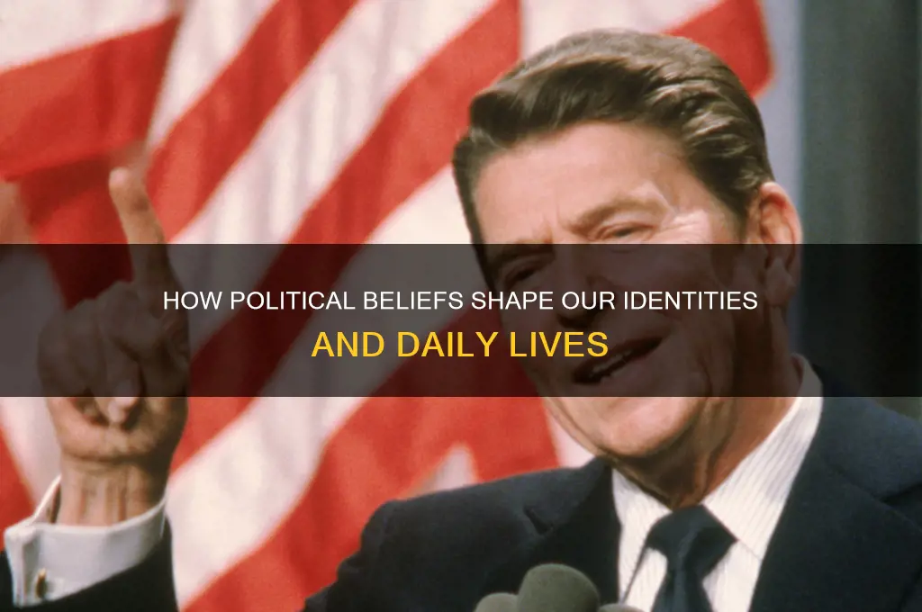 how politics define us