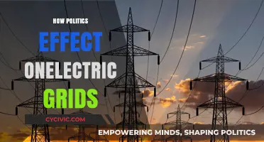 Political Power Plays: Shaping the Future of Electric Grids