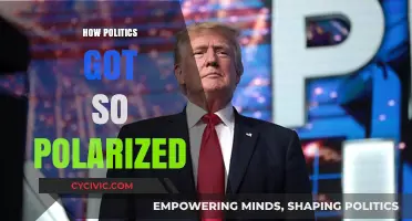 Divided We Stand: Unraveling the Roots of Political Polarization