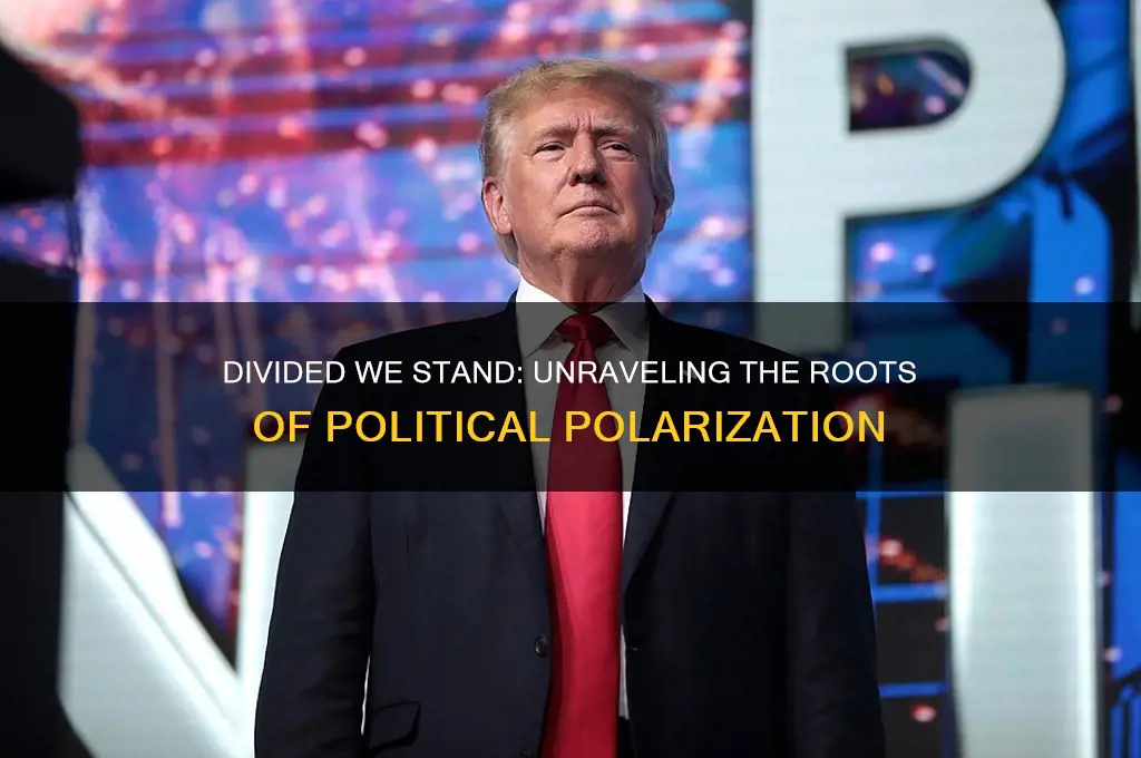 how politics got so polarized