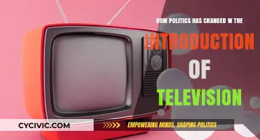 The Evolution of Politics in the Television Age