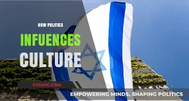 Politics and Culture: The Interplay of Power and Identity