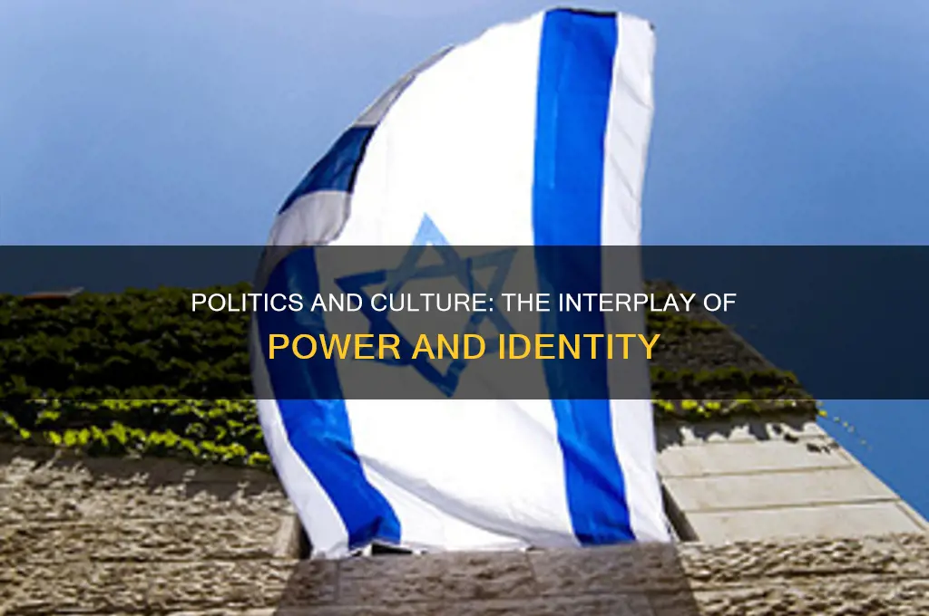 how politics infuences culture