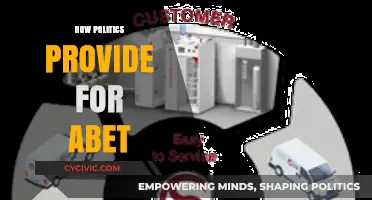 How Political Systems Enable and Sustain Abetment: A Deep Dive