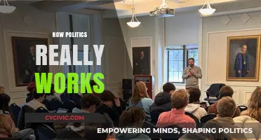 Unveiling the Hidden Mechanisms: How Politics Really Works Behind the Scenes