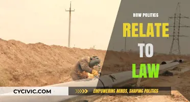 Politics and Law: Understanding Their Interconnected Roles in Society