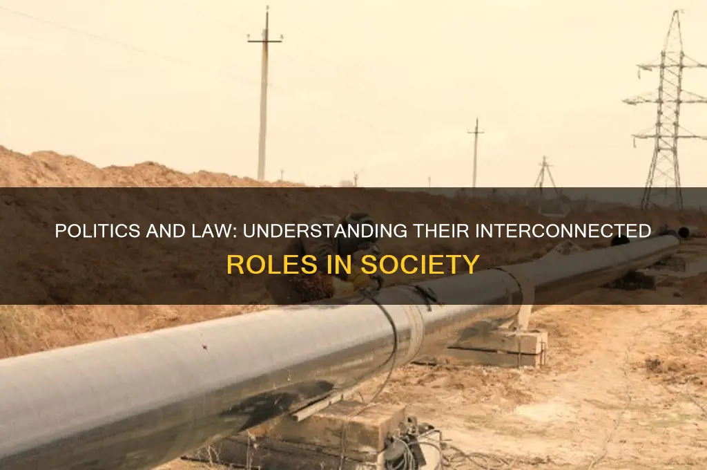 how politics relate to law