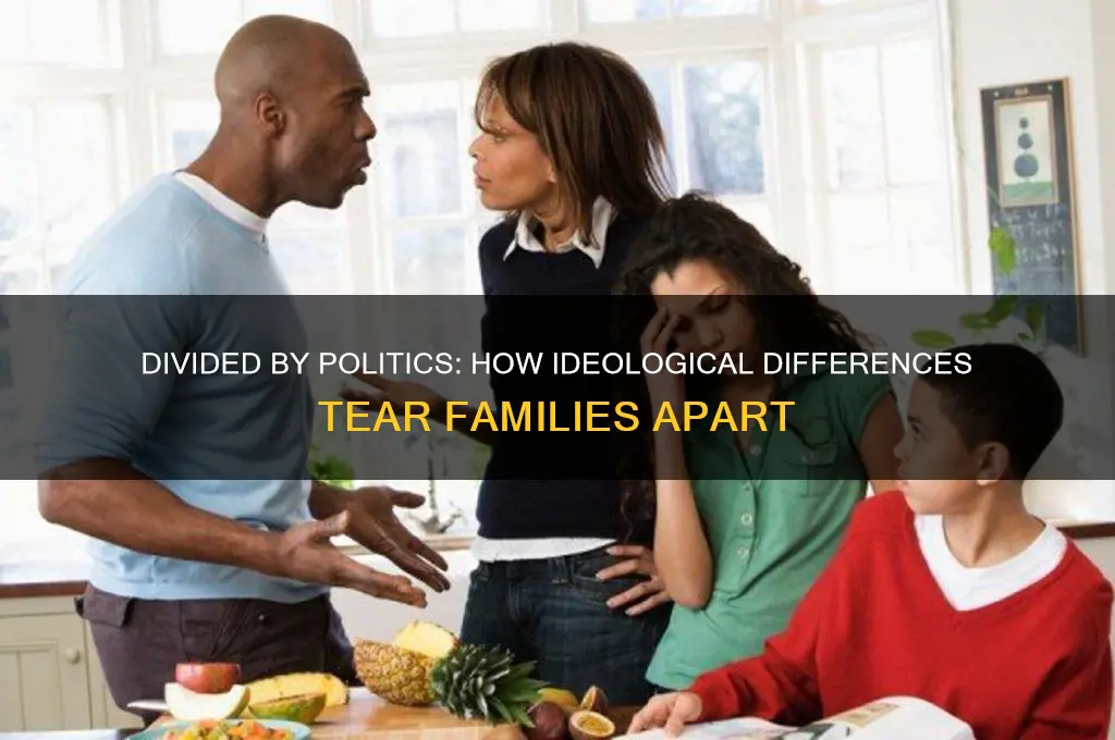 how politics separate families