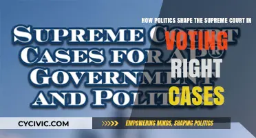 The Political Landscape of Voting Rights: Shaping the Supreme Court's Stance