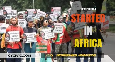 Origins of African Politics: A Historical Journey Through Power and Governance