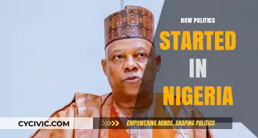 The Origins of Nigerian Politics: A Historical Journey