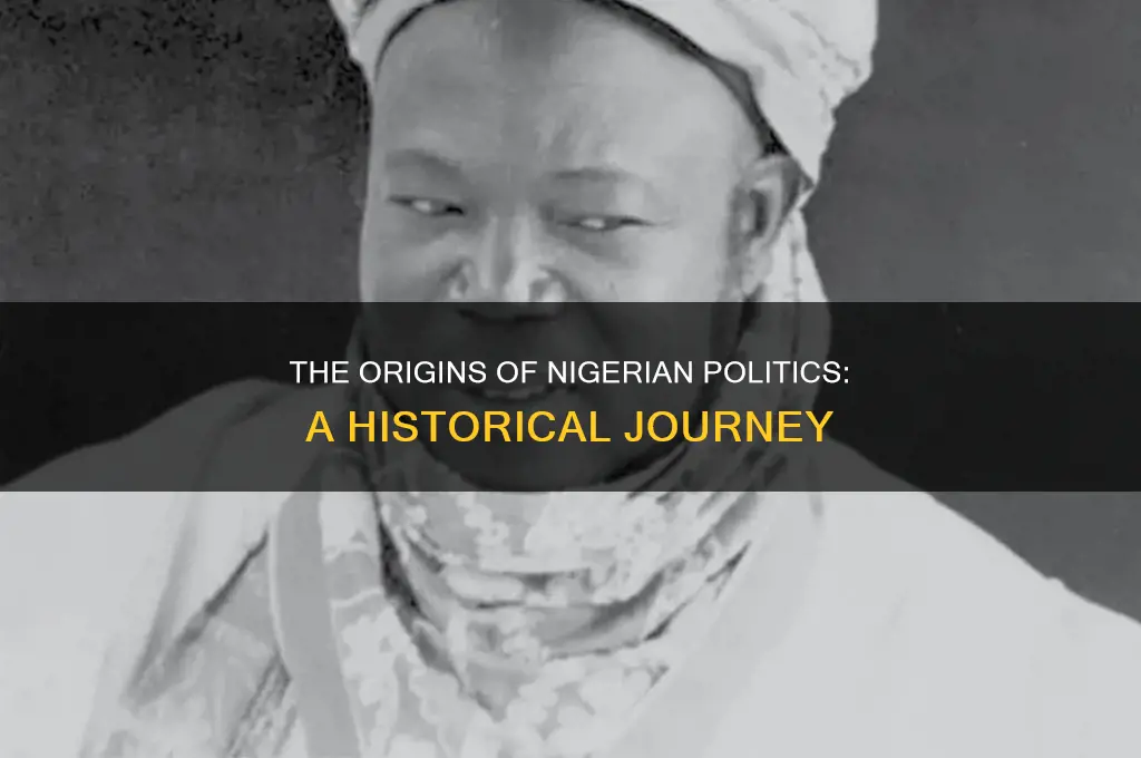 how politics started in nigeria