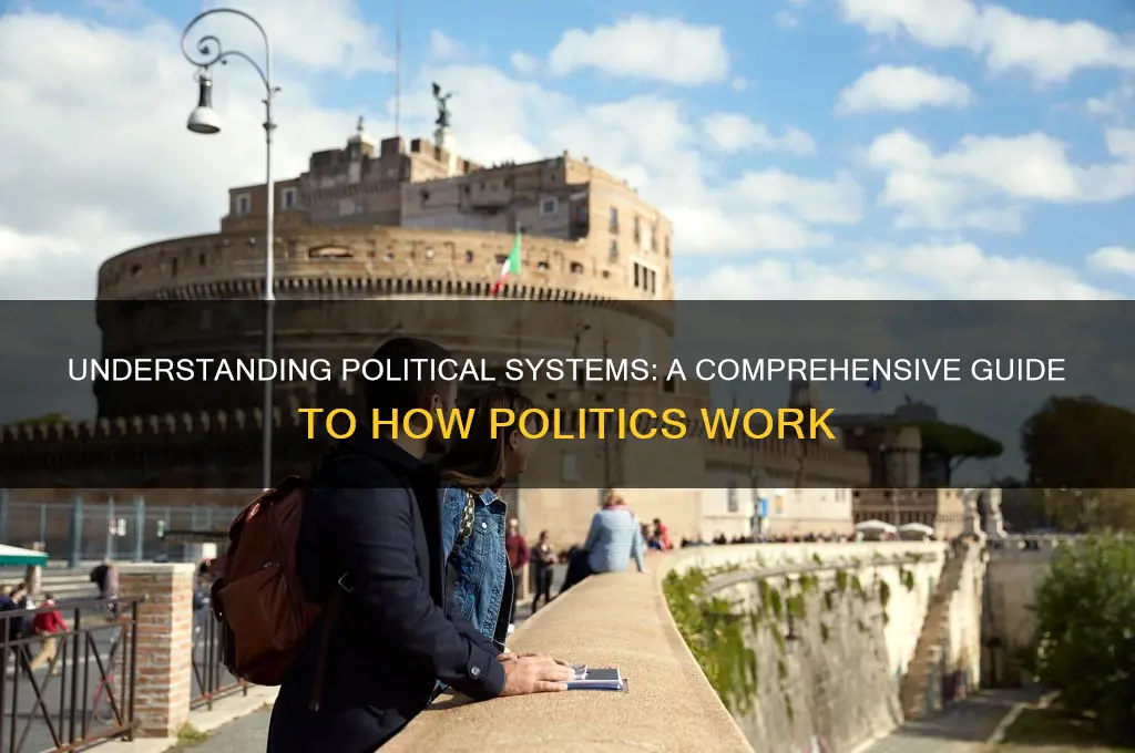 how politics work book