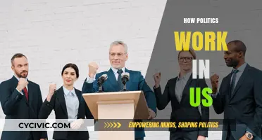 Understanding the Complex Dynamics of American Politics and Power Structures