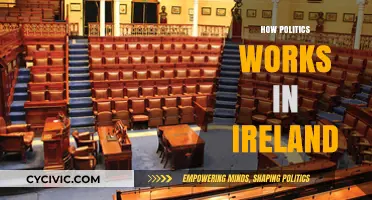 Understanding Ireland's Political System: A Comprehensive Guide to How It Works
