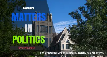 The Political Price Tag: How Costs Shape Policies and Votes