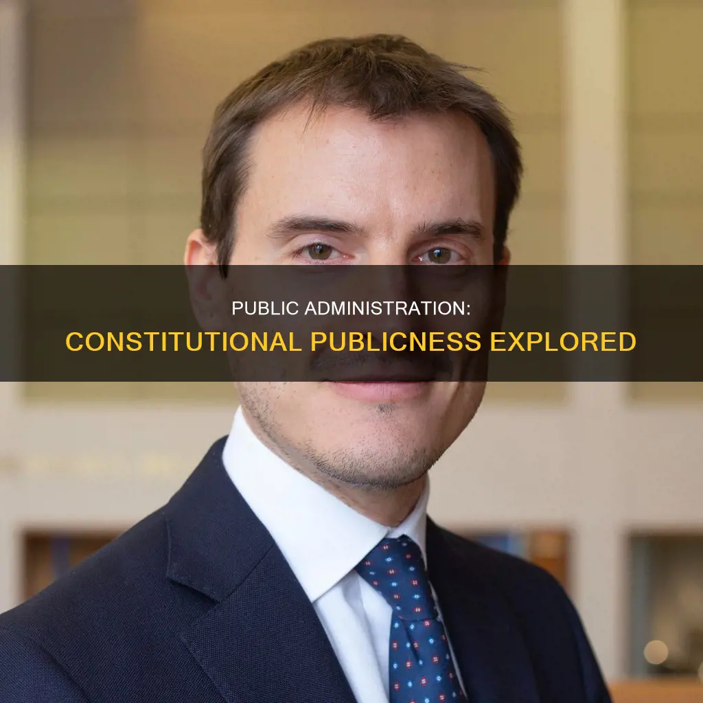 how public is public administration a constitutional approach of publicness