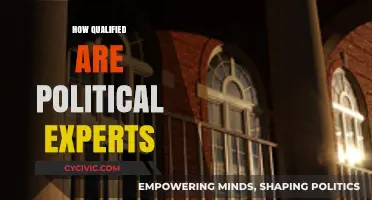 Are Political Experts Truly Qualified? Examining Their Credibility and Expertise