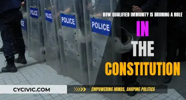 Immunity Undermines Constitution: Qualified Immunity's Destructive Impact