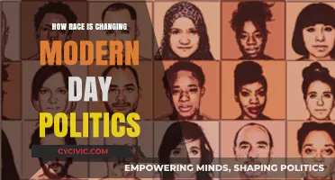 Shifting Landscapes: Race and Its Impact on Contemporary Politics