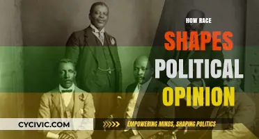 Race and Politics: Understanding the Impact on Political Beliefs