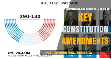 Voting Records: Amendments, Parties, and Polarization