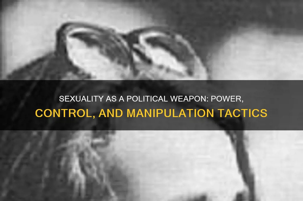 how sexual became political weapon