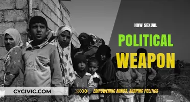 Sexual Politics as a Weapon: Power, Control, and Manipulation Explained