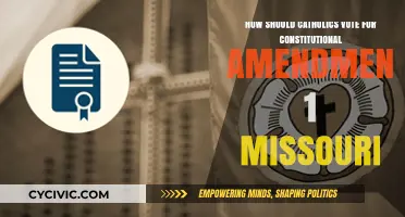 Missouri Catholics: Voting for Constitutional Amendment 1