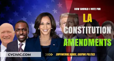 Voting for LA Constitutional Amendments: What You Need to Know