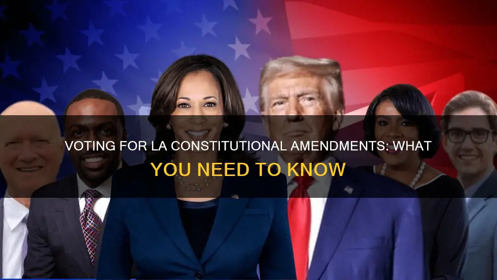 how should i vote for la constitutional amendments