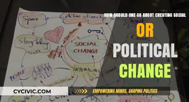 Catalyzing Change: A Guide to Social and Political Transformation