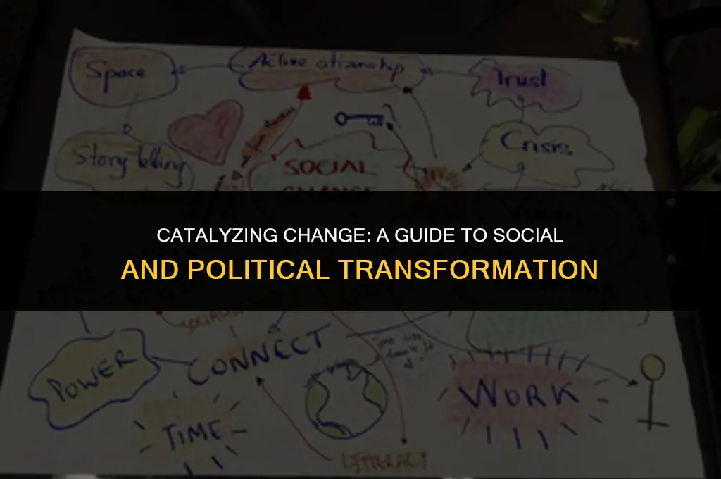 how should one go about creating social or political change