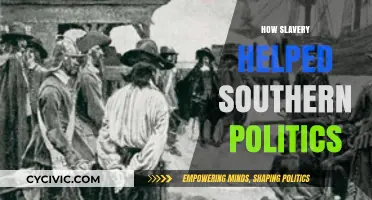 Slavery's Legacy: Shaping Southern Politics and Power Dynamics
