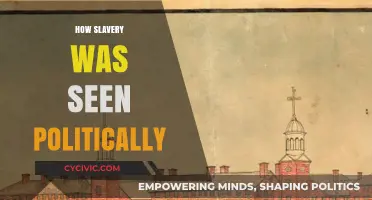 Political Perspectives on Slavery: Power, Economics, and Moral Divide