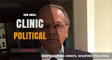 How Small Clinics Navigate Political Landscapes: Challenges and Strategies