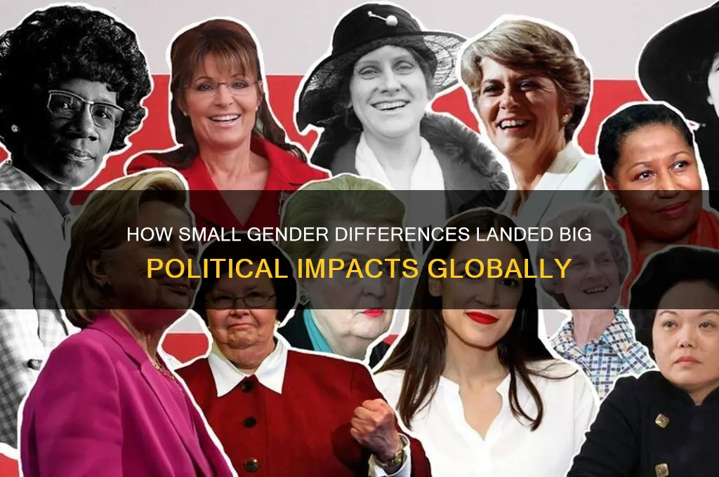how small gender landed political